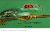 Dossier pédagogique Thème « la ferme tropicale » 5 …...Parc animalier et de loisirs GUIGUITTE en Folie – Filain (Haute-Saône) tortue iguane lézard grenouille escargot tortue
