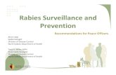 Rabies Surveillance and Prevention Peace Officers · 2013-05-23 · Rabies ‐Background • More than 90 percent of rabies cases reported each year in the United States occur in