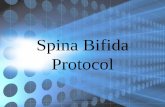 Spina Bifida Protocol - Johns Hopkins Hospital€¦ · Spina Bifida Protocol • obtain coronal or parasagittal and number bony elements • number bony elements either by starting