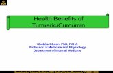 Health Benefits of Turmeric/Curcumin · Health Benefits of Turmeric/Curcumin Shobha Ghosh, PhD, FAHA Professor of Medicine and Physiology Department of Internal Medicine. Department