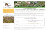 Nectar Connectors - MonarchNet · Nectar Connectors, to better understand the flowering timing of nectar sources for monarchs and other pollinators. Participants observed the flowering