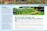 A Freah Look at Shoreland Restoration€¦ · provide food, clean water and habitat. Fortunately, waterfront property owners can restore or maintain many of the ecological functions