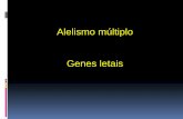 Alelismo múltiplo Genes letais · 2016-08-15 · Um gene possui 2, 3, 4, ..... vários alelos, determinando uma característica. Quando um caráter se expressa de várias maneiras