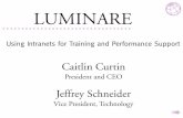LUMINARE · LUMINARE. What is an Intranet? • An enterprise’s private network of computers • Connected together with internet protocols and providing common services • Different