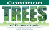 Introduction - Pennsylvania Envirothon...i Introduction The trees of “Penn's Woods”—the translation of our state's Latin name—have supported people in what is now Pennsylvania