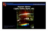 Introduction to Computer Vision Introduction Human Vision Light, …elm/Teaching/ppt/Intro to... · 2012-09-17 · Introduction to Computer Vision Rods and Cones Cones are located