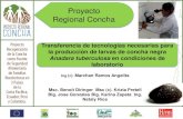 Proyecto Regional Conchacpps.dyndns.info/cpps-docs-web/planaccion/docs2016/Abril... · 2016-04-13 · Proyecto Regional Concha Transferencia de tecnologías necesarias para la producción