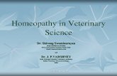Homeopathy in Veterinary Science in...Homeopathy in Veterinary Science Dr. Shivang Swaminarayan Head, HealthCare Division Sintex International Limited, Kalol, India Email: homoeo@sintex.co.in