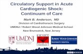 Circulatory Support in Acute Cardiogenic Shock: Continuum ...cmsmedical.com.br/conteudo/downloads/4764_179.pdf · Cardiogenic Shock 5 Mortality Risk with Inotrope Dosing Adapted from