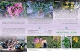 Zavod za za zaštitu prirode Srbije bilje - eng.pdf · Lekovito biqe ima upotrebu ne samo u tradicionalnoj medicini, veé i u farmaceutskoj, prehrambenoj i kozmetiCkoj industriji.