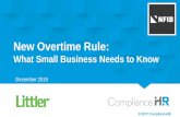 New Overtime Rule - strgnfibcom.blob.core.windows.net€¦ · The FLSA requires employers to pay non-exempt employees: At least the minimum wage for all hours worked ... The DOL’s