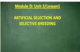 Module D: Unit 3/Lesson1 ARTIFICIAL SELECTION AND ...€¦ · Corn began as a grass called teosinte ... All dog breeds are the outcome of artificial selection too! Dogs from other