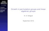 Growth in permutation groups and linear algebraic groups · 2018-09-12 · algebraic groups H. A. Helfgott Introduction Diameter bounds New work on permutation groups Product theorems
