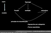 cópia Tipologia Função analogia estructura modelo principio de …homepage.ufp.pt/avoliv/apontamentos/diap tipologia/aulas 3.pdf · > universidade fernando pessoa > curso de arquitectura