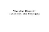 Microbial Diversity, Taxonomy, and Phylogenyfire.biol.wwu.edu/cmoyer/zztemp_fire/biol345_W10/last go round/Lecture_2.pdfFAME analysis can differentiate closely related prokaryotes,