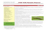 TPM/IPM Weekly Report...Tartaria’, ‘Lapin’ ‘Schmidt’, and ‘Windsor’ are the most susceptible varieties to injury from this insect, while `Dikeman’ and ‘Yellow Spanish’