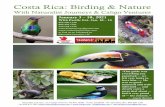 Costa Rica: Birding & Nature - Naturalist JourneysFew places rival Costa Rica’s ecological diversity. Over a quarter of the country is protected lands, boasting 850 bird species
