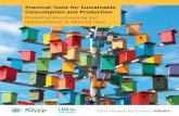 Practical Tools for Sustainable Consumption and Production · 4 Practical Tools for Sustainable Consumption and Production In the National Roundtable on Sustainable Consumption and