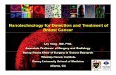 Nanotechnology for Detection and Treatment of …...Nanotechnology for Detection and Treatment of Breast Cancer Lily Yang , MD. PhD. Associate Professor of Surgery and Radiology Nancy