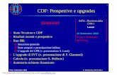 CDF: Prospettive e upgrades · 2003-09-23 · Pisa: Settembre 2003 F. Bedeschi, INFN-Pisa 1 CDF: Prospettive e upgrades vStato Tevatron e CDF vRisultati recenti e prospettive vRun