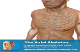 PRE-LAB EXERCISES Manuals/Atlas Lab Manuals... · PRE-LAB EXERCISES When studying the skeletal system, the bones are often sorted into two broad categories: the axial skeleton . and