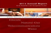 Public Service Commission of Utah Electric Natural Gas ...site.utah.gov/psc/wp-content/uploads/sites/35/2016/... · counsel and paralegal staff, and an administrative law judge. Currently