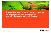 Hacia una agricultura a pequeña escala resiliente al clima · Resultado de tres talleres realizados en África, Asia y América Latina. ... en la era del cambio climático, debería