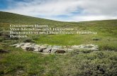 Gunnison Basin Wet Meadow and Riparian Restoration and ... · 8.06.2017  · 1. Increase ecosystem resilience by restoring hydrologic function of wet meadow and riparian habitats