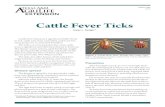 Cattle Fever Ticks - Texas A&M Department of Entomology · * Assistant Professor and Extension Livestock/Veterinary Entomologist, The Texas A&M University System Prevention After