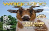 et portrait artist LITTLE ACORN BUILDING …thewagazine.com/wp-content/uploads/2019/03/Wagazine...LITTLE ACORN SANCTUARY 10 Chickens, 5 Goats, 2 Dogs, 2 Women, and 2 Children 20 |