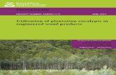 Utilisation of plantation eucalypts in engineered wood ... of... · The EWPs covered in the review included laminated veneer lumber (LVL) and plywood, glulam, flake/strand-based products,