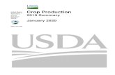 United States Crop Production Department of Agriculture€¦ · Crop Production 2019 Summary (January 2020) 3 USDA, National Agricultural Statistics Service Corn for grain production