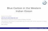 Blue Carbon in the Western Indian Ocean - VLIZ...Blue Carbon in the Western Indian Ocean Gabriel Grimsditch gabriel.grimsditch@gmail.com International Union for Conservation of Nature