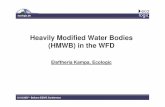 Heavily Modified Water Bodies (HMWB) in the WFD...ecologic.de Datum ecologic.de 12/10/2007 - Belluno ESWG Conference 2 Content of this presentation • Hydromorphology & HMWB in the