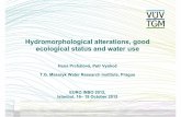 Hydromorphological alterations, good ecological …...Istanbul, 16– 19 October 2012 WFD main environmental objectives • Achieve good status of water bodies in 2015 • Surface