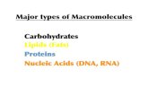 Carbohydrates Lipids (Fats) Proteins Nucleic Acids (DNA, RNA)jmazzabiology.com/bio2biochem2.pdf · 2010-11-03 · Carbohydrates Lipids (Fats) Proteins Nucleic Acids (DNA, RNA) Macromolecules