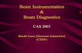 Beam Instrumentation Beam Diagnostics - CERN ... A Beam Diagnostics and Instrumentation activity shall design, build, maintain and improve the diagnostic instruments that allow the