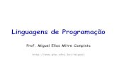 Linguagens de Programação - GTA / COPPE / UFRJmiguel/docs/lingprog.2019.1/aula6.pdf · Introdução à Programação em C++ (Continuação) Linguagens de Programação – DEL-Poli/UFRJ