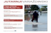 Trajno rješenje uređenje retencija i korita Plitvice - str. 2. · i Hrvatske vode i sam gradsku vlast da se ne radi ništa, drugi su apelirali da se problem počne sustavno rješavati.