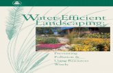 xeriscape7.qxd 10/8/2002 4:12 PM Page 17 Water-Efficient ... Works/Storm Water… · formalize these principles is known as “Xeriscape3 landscaping.” Xeriscape landscaping is