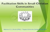 Facilitation Skills in Small Christian Communities ... Facilitation skills in SCCs 4 But what is facilitation?? In the context of SCC, facilitation is the art of applying diverse sets