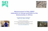 Measurement of the GBEP indicators in Kenya and links to ... · Dr Rocio A Diaz Chavez Stockholm Environment Institute Africa Centre Deputy Director for Research Energy and climate