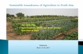 Hari Dahal, PhD Senior Consultant, SAWTEE and former ...sawtee.org/presentations/presentations123-24-March-2017.pdf · Global fertilizer nutrient consumption is expected to reach