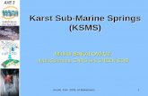 Karst Sub-Marine Springs (KSMS) - UT Liberal Arts...Austin, Feb. 2005, M.Bakalowicz 2 Why do KSMS exist? • Because the sea level was below the present sea level: – During Quaternary,