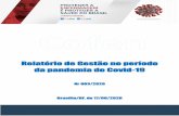 Relatório de Gestão no período da pandemia do Covid-19 · Manual de Fiscalização, aprovado pela Resolução Cofen nº 617, de 17 de outubro de 2019, e dá outras providências.