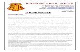 Ringrose Avenue, Greystanes 2145 Phone: 9631 8637 Fax ... · 7/23/2014  · Newsletter . participated in this competition. Included in this newsletter are the names of students who