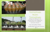 Tomatoes from Tomatoes - Biogasbiogas.ifas.ufl.edu/Internships/2011/files/Jacquelyn.pdf · Tomato Plants By Jacquelyn Neal BioEnergy Summer School 2011 . Outline Introduction to anaerobic