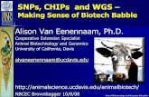 Alison Van Eenennaam, Ph.D. · 2016-12-16 · NBCEC Brownbagger 10/8/08 Animal Biotechnology and Genomics Education SNPs, CHIPs and WGS – Making Sense of Biotech Babble Alison Van