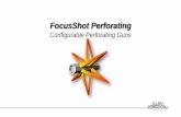 FocusShot Perforating · FocusShotTM Perforating • True Limited Entry –Balanced Configuration • Significant energy to single / double point or centralized ring • 0 degree,