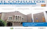 DE LOS AYUNTAMIENTOS - Wolters Kluwerpdfs.wke.es/2/0/8/1/pd0000102081.pdf · de los ayuntamientos el consultor revista tÉcnica especializada en administraciÓn local núm. 7.151